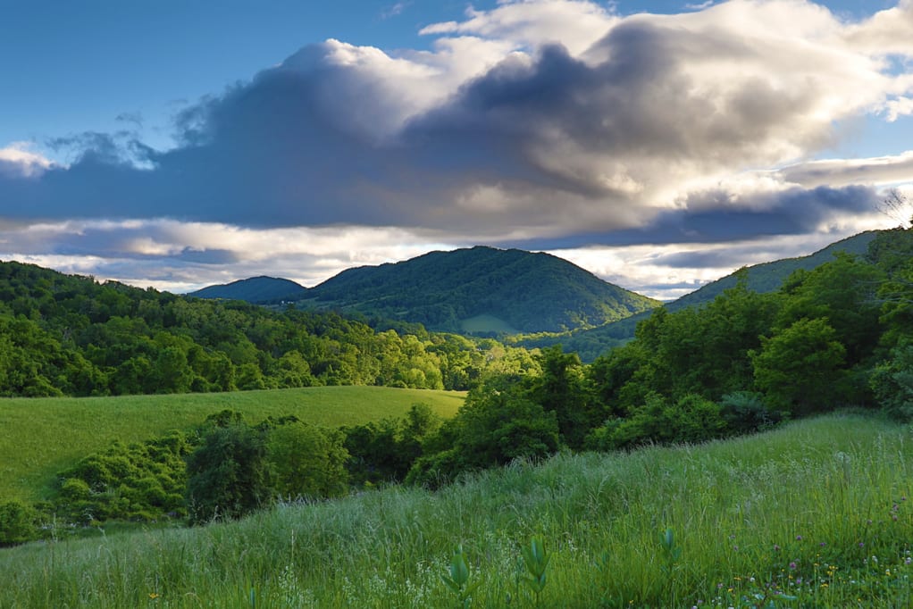 Land And Lots For Sale In Virginia The Preserve